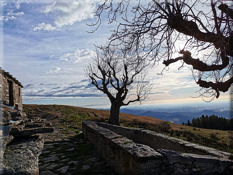 foto Poggio Frassati